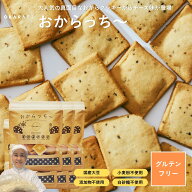 【ゲリラセール開催！終了6時間前限定クーポン配布中！6/10(水)20：00～6/11(木)1:59】おからっち～ 真面…