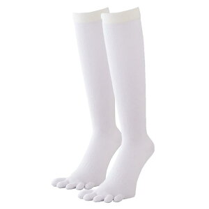 [GXGXPC] 싅 5{wJ[\bNX(⋭)[Y]