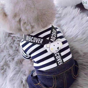 hbOEFA ^p Ȃ XgCv |GXe N  H~ h gCv[h rVt[[ |jA ` WPbg