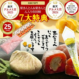 ＼10％ポイントバック まだ間に合う／ 父の日 ギフト プレゼント お菓子 和菓子 スイーツ 食べ物 2026 花 セット 詰め合わせ 花以外 ＼2年連続楽天グルメ大賞受賞スイーツグランプリ1位／送料無料 岐阜中津川 栗100％ 栗きんとん 5個 栗きんとん入り市田柿 干し柿 栗柿5個