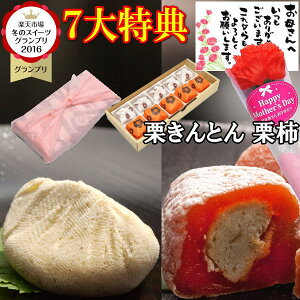 母の日 プレゼント ギフト 和菓子 スイーツ お菓子 カーネーション 花 花束 高級 義母 食べ物 お取り寄せ 御祝 実用的 市田柿 岐阜中津川 栗 100% 栗きんとん 5個 栗きんとん入り 干し柿 栗柿5個入 誕生日祝い スイーツグランプリ1位 送料無料