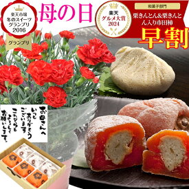＼ 早割 楽天グルメ大賞2025受賞 ／ 母の日 プレゼント 和菓子 ギフト お菓子 花と スイーツ 人気 高級 鉢植え 花 セット 生花 鉢花 花鉢 食べ物 選べる メッセージカード お母さん カーネーション 5号鉢 ＆ 岐阜中津川本物の栗きんとん 3個 栗きんとん入り干し柿 栗柿 3個