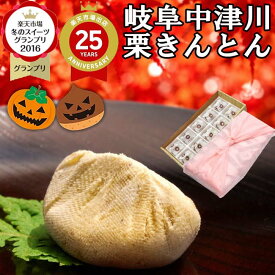 新栗 岐阜中津川 栗きんとん ハロウィン プレゼント お菓子 和菓子 スイーツ ギフト 高級 誕生日 食べ物 詰め合わせ 秘密のケンミンショーで紹介 お取り寄せ 送料無料 スイーツグランプリ1位 最旬 秋の味覚 岐阜中津川 栗 100％ 栗きんとん 10個入