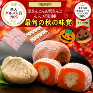 ＼P最大10倍／ 新栗 岐阜中津川栗きんとんスイーツ ハロウィン プレゼント お菓子 和菓子 スイーツ ギフ…
