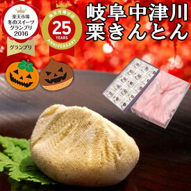 新栗 岐阜中津川 栗きんとん ハロウィン プレゼント お菓子 和菓子 スイーツ ギフト 高級 誕生日 食べ物 詰め合わせ 秘密のケンミンショーで紹介 お取り寄せ 送料無料 スイーツグランプリ1位 最旬 秋の味覚 岐阜中津川 栗 100％ 栗きんとん 15個入