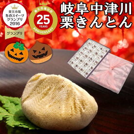 新栗 岐阜中津川 栗きんとん ハロウィン プレゼント お菓子 和菓子 スイーツ ギフト 高級 誕生日 食べ物 詰め合わせ 秘密のケンミンショーで紹介 お取り寄せ 送料無料 スイーツグランプリ1位 最旬 秋の味覚 岐阜中津川 栗 100％ 栗きんとん 20個入