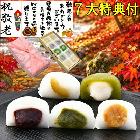 敬老の日 ギフト お菓子 和菓子 スイーツ ヒンヤリスイーツ 高級 誕生日 プレゼント 2026 送料無料 詰め合わせ お取り寄せ ヒンヤリ 冷たい 岐阜銘菓 低カロリー 栗きんとん 入り 等 5種類の 水まんじゅう 10個