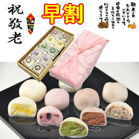 早割 敬老の日 ＼ P最大10倍 ／ お中元 ギフト 夏ギフト プレゼント 和菓子 スイーツ お菓子 ヒンヤリ 冷たい アイス クリーム 食べ物 御中元 高級 菓子 詰め合わせ 送料無料 抹茶 チョコレート 柚 ブルーベリークリームチーズ アイスクリーム くりーむ 大福 5種類10個