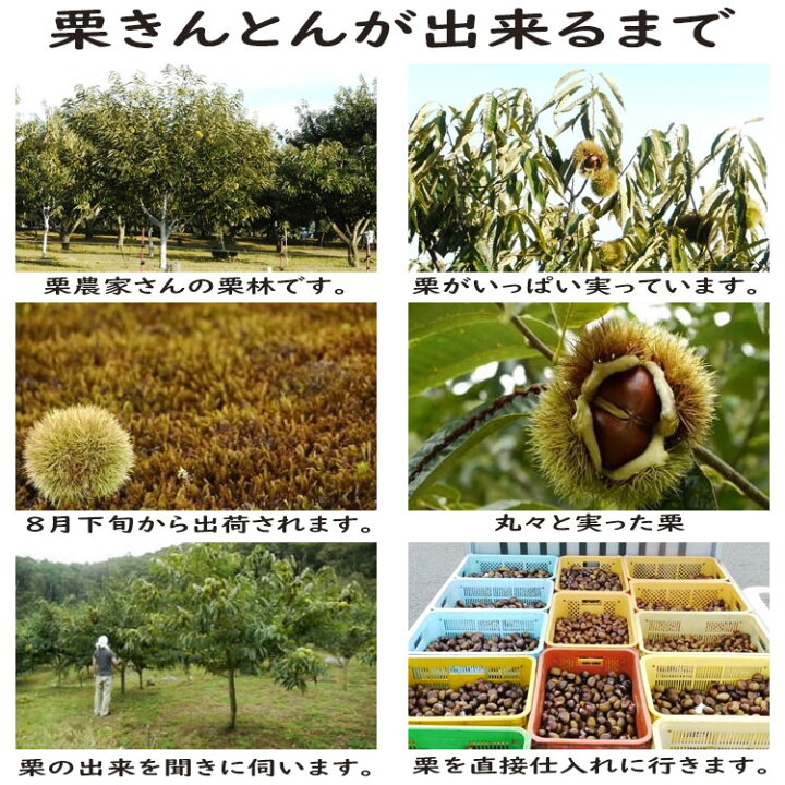 楽天市場】秋の味覚 岐阜中津川栗きんとんスイーツ ハロウィン お歳暮 早割 和菓子 プレゼント ギフト スイーツ お菓子 送料無料 誕生日 スイーツセット お取り寄せ スイーツグランプリ1位 栗きんとん入り干し柿 市田柿 岐阜 中津川 栗100% 栗きんとん 7個 栗柿 8個 ... 楽天市場】秋の味覚 岐阜中津川栗きんとんスイーツ ハロウィン お歳暮 早割 和菓子 プレゼント ギフト スイーツ お菓子 送料無料 誕生日 スイーツセット お取り寄せ スイーツグランプリ1位 栗きんとん入り干し柿 市田柿 岐阜 中津川 栗100% 栗きんとん 7個 栗柿 8個 ...