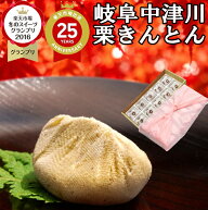 ＼ポイント最大10倍／ 新栗 岐阜中津川 栗きんとん ハロウィン プレゼント お菓子 和菓子 スイーツ ギフ…