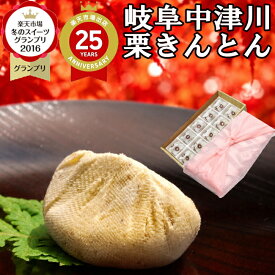 新栗 岐阜中津川 栗きんとん ハロウィン プレゼント お菓子 和菓子 スイーツ ギフト 高級 誕生日 食べ物 詰め合わせ 秘密のケンミンショーで紹介 お取り寄せ 送料無料 スイーツグランプリ1位 最旬 秋の味覚 岐阜中津川 栗 100％ 栗きんとん 10個入