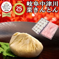 ＼ポイント最大10倍／ 新栗 岐阜中津川 栗きんとん ハロウィン プレゼント お菓子 和菓子 スイーツ ギフ…