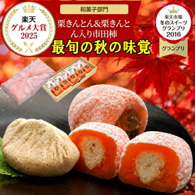 新栗 岐阜中津川栗きんとんスイーツ ハロウィン プレゼント お菓子 和菓子 スイーツ ギフト 高級 誕生日 食べ物 詰め合わせ ＼2年連続楽天グルメ大賞受賞スイーツグランプリ1位／ 送料無料 岐阜中津川 栗100％ 栗きんとん 5個 栗きんとん入り 市田柿 干し柿 栗柿5個