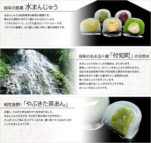 岐阜の銘菓水まんじゅう