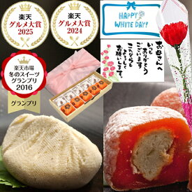 ＼まだ間に合う／ ホワイトデー お返し ギフト お菓子 和菓子 スイーツ 母の日 個包装 ＼2年連続楽天グルメ大賞2025受賞 スイーツグランプリ1位／ プレゼント 食べ物 詰め合わせ 送料無料 岐阜中津川の栗100％ 栗きんとん 5個 栗きんとん入り市田柿 干し柿 栗柿 5個