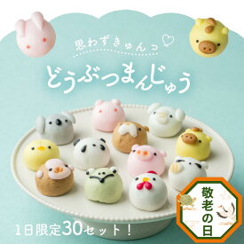 【敬老の日 和菓子】【週間ランキング1位】選べる どうぶつまんじゅう 誕生日 お菓子 苺餡 梅餡 白餡 かわいいスイーツ お試し 饅頭 まんじゅう 動物 ギフト 内祝 出産祝い 餡子 プレゼント 帰省土産 手土産 あんこスイーツ 個包装 お菓子処ひろせ公式 敬老の日ギフト