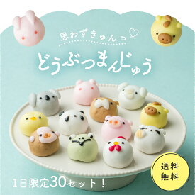 【週間ランキング1位】選べる どうぶつまんじゅう 栗 パンプキン 紫芋 かわいいスイーツ お試し 6個入 10個入 饅頭 まんじゅう 動物 和菓子 ギフト 内祝 結婚祝い 出産祝い 誕生日 餡子 プレゼント 誕生日 茶道 あんこスイーツ 個包装 老舗