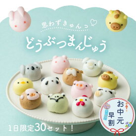 【お中元ギフト】【週間ランキング1位】選べる どうぶつまんじゅう かわいいスイーツ お試し 6個入 10個入 饅頭 まんじゅう 動物 和菓子 ギフト 内祝 結婚祝い 出産祝い 誕生日 餡子 プレゼント 誕生日 あんこスイーツ 個包装 老舗 もちもち食感 夏ギフト お中元ギフト