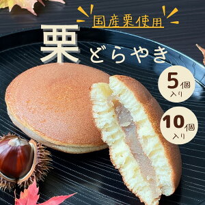 IIǂ₫ aَq mَq ĉَq aXC[c Qq IQ  񂱃XC[c Qq  I ~Q j j a yY  Mtg aMtg A AȓyY yY 