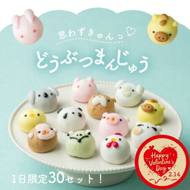 【遅れてごめんね！バレンタイン！】【週間ランキング1位】選べる どうぶつまんじゅう 苺 抹茶 練乳 かわいいスイーツ お試し 6個入 10個入 饅頭 まんじゅう 動物 和菓子 ギフト 内祝 出産祝い 誕生日 餡子 プレゼント 誕生日 茶道 あんこスイーツ 個包装 ひなまつり
