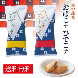 おばこナひでこナ6個入送料無料 1000円ポッキリ ポイント消化 お試しセット 和菓子　焼き菓子　 お菓子 スイーツ 秋田 お土産　詰め合わせ　買い回り　お買い物マラソン　お茶請け