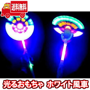 (n著) 邨@zCgԁi12j(4964648500369x12k)y ii ߋ  Ղ ii Cxg q ۈ牀 ct čՂ ql` ii  ≮ Ɩp y