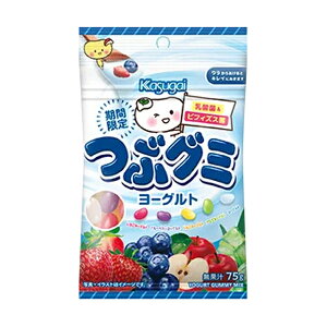 t䐻 ԃO~[Og 75g 6R 2025/10/06 (4901326043749)
