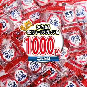 (n著) َq lߍ킹 JoHi `[W^ubc ~ 1000 (4901550151708px1000k) ye     ^ubg Ɩp ܂Ƃߔ u XgbN 
