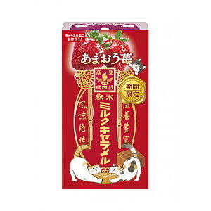 Xi ~NL܂䕁 12 120R 2025/11/11 (4902888269226c)