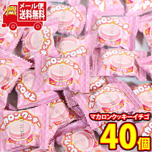 (S) ₨ }JnaNbL[() 40R [ (4903013790042px40m)y lߍ킹    z