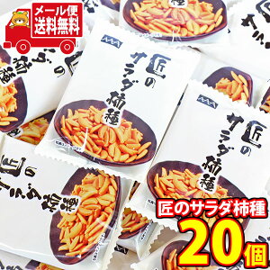 (S)XCt[Y ̃T_`(20R)[ (4920502152167sx20m)y lߍ킹    z