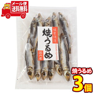 (S)Xc Ă 40g 3R [ (4546091013223sx3m)y lߍ킹   z