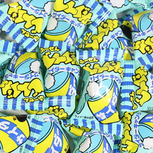 (S) pC ǂ񂮂K TC_[LfB 1 80R [ (49707502x80m)