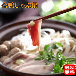 (n著) Ji[ ԓZbgi2`3lOjZbg Yn Mtg (skn140)