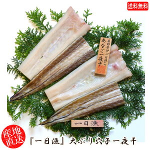 (n著)xX uv銱@Ԃ茊q銱(q2i1/2Jbg×4j Ⓚ@Zbg Mtg Yn(sot105)