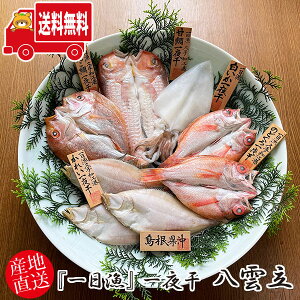 (n著) xX wx銱@_i₭jqÑ1(325g)Êǂ2`3(v300g)EGeꂢ3(v330g)E񂱑1(160g)E1rⓀ Zbg Mtg(