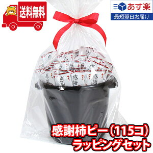 yyΉz(n著) ӊ`s[i115Rj ǂǁ` oPcbsO CCZbg KHYY ̃}[` (omtma8675k)yʉَq َq lߍ킹  v[g q ii