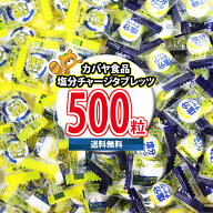 【レビュー特典あり】【全国送料無料】 カバヤ食品 塩分チャージタブレッツ 詰め合わせ 2種・計500粒（ス…