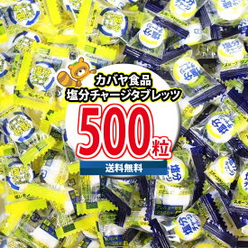 【全国送料無料】カバヤ食品 塩分チャージタブレッツ 500粒 大容量 2種アソート（塩レモン・スポーツドリンク味）塩分補給 熱中症対策 タブレット 個包装 大容量 まとめ買い 業務用 スポーツ 部活 塩タブレット 農作業 屋外 イベント（omtma9495rsl）