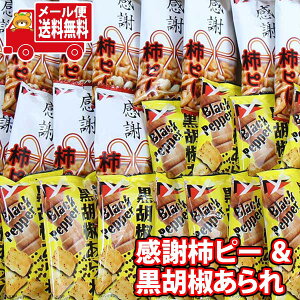 (S) َq lߍ킹 ӊ`s[  Ӟie15REv30RjZbg ̃}[` [ (omtmb0718)y lߍ킹  ʉَq ^  َqz