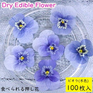 (S)Hׂ鉟 hCGfBut[ rI(F) 100 Hp hCt[ LЃg [(omtmb7235)