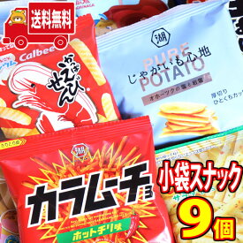(全国送料無料)お菓子 詰め合わせ じゃがりこも入ったスナック食べ比べセットミニサイズ9袋 おかしのマーチ メール便 (omtmb8289)【送料無料 詰め合わせ 子供 駄菓子 おやつ おつまみ お菓子 販促 お菓子セット】