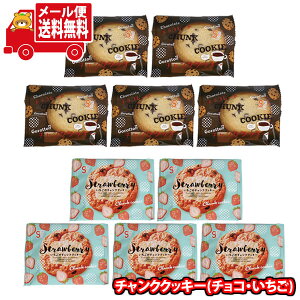 (全国送料無料)お菓子 詰め合わせ 銀の汐 2種のチャンククッキー(チョコ・いちご)詰め合わせ(2種・計10コ)メール便 (omtmb9563)【送料無料 詰め合わせ おやつ 小袋 個包装 お試し】