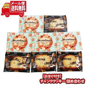 【レビュー特典あり】(全国送料無料)お菓子 詰め合わせ 【プリッツおまけ付き!】チャンククッキー 詰め合わせ(2種・計8コ)メール便 (omtmb9592)【送料無料 詰め合わせ おやつ 小袋 個包装