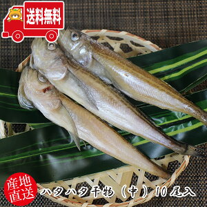 (n著)yYnIzl̖ƒ n^n^i) 10(hkh006)