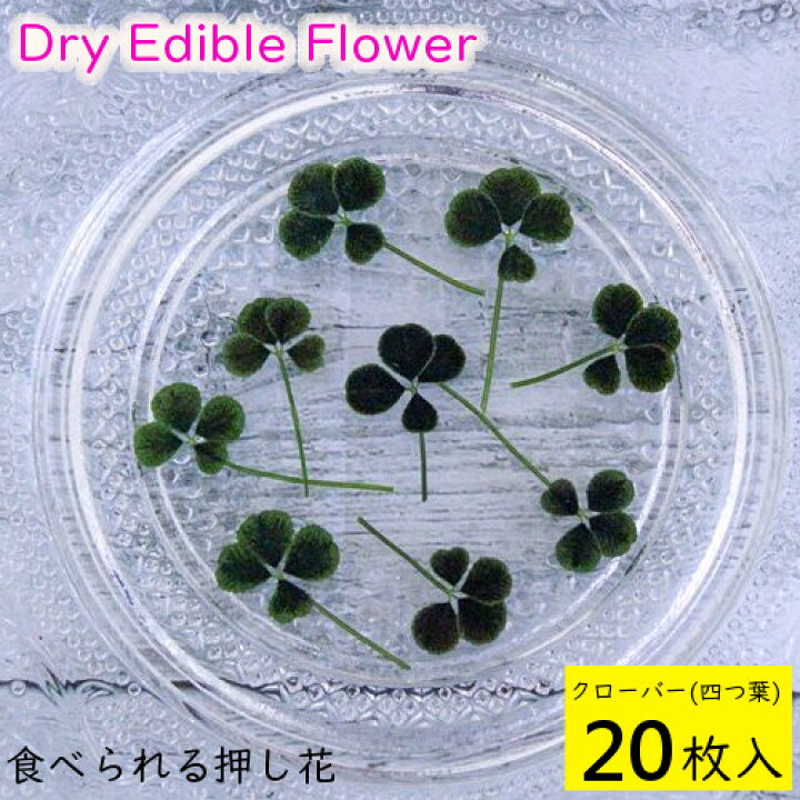 楽天市場 全国送料無料 食べられる押し花 ドライエディブルフラワー クローバー 四つ葉 枚入り 食用花 ドライフラワー 有限会社トム メール便 Omtmb6259 おかしのマーチ