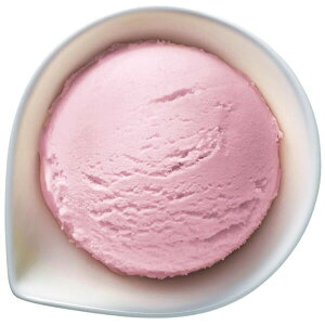 Ɩp be x[VbN o[Xgx[4L (590021686)