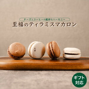 qifXŏЉ@eB~X}J 4 Z `[Y R[q[ ÂT ۑ F sgp XC[c  v[g Mtg LO a BENE REGALO x[lK[ 