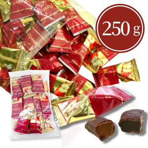 񂲃`R[g {`R[g `R _[N`R  ь Abv e C 蕨 v[g