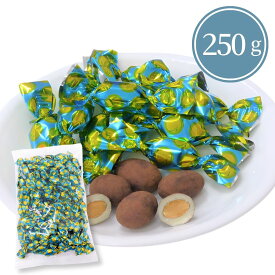 ティラミスチョコレート 日本チョコレート 250g 620g コンパクト便 チョコ ダークチョコ 個包装 大容量 ワイン 贈り物 プレゼント ◇